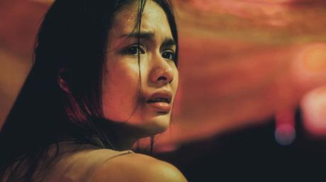 Mariposa in the Cage of the Night